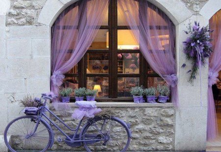 Delightfully Purple - sheers, bike, design, shop, purple, pretty, store, decoration, lavender