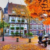 Colorful Street During Autumn