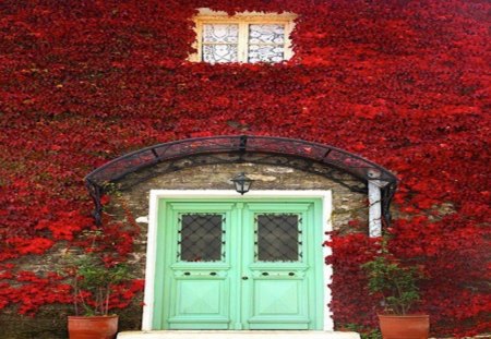 Green Doors - double, door, cover, red, green, climb, flowers, ivy