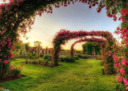 Red Rose Arches - gate, beautiful, garden, red, arch, rose, flower, walkway