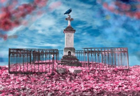 Lone Bird in a Pink World - podium, sky, fence, blooms, wind, spring, bird, blossoms, pretty, pink