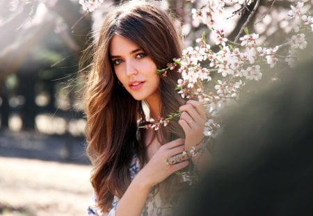 Lovely spring girl - stare, girl, lips, hair, eyes, lovely girl, model, spring, face, clara alonso, blossom, tree, cute, flower