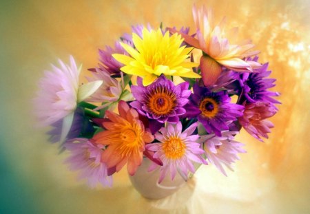 Flowers - soft, blooms, lovely, vase, delecate, nature, art, blossoms, petals, beautiful, blurry, flowers