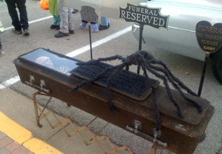 CREEEEPPPY - spider, halloween, coffin, funny