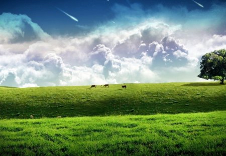 A colorful field - sky, trees, clouds, field, grass, deer, falling stars