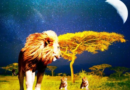 Lion with his cubs - moon, lions, hunting, sky, stars, midnight, cubs, forest, blue, preditors, prey