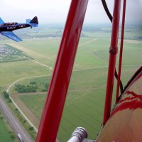 Tiger Moth
