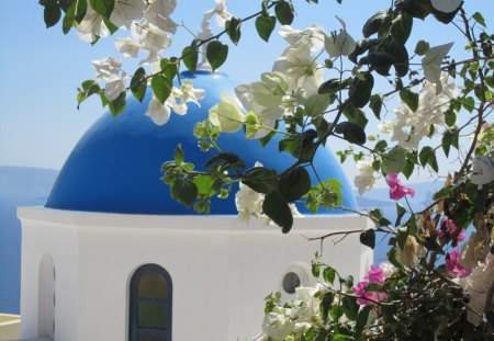 beautiful Greece - santorini, flowers, white, summer, blue, greece, island, sea