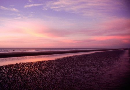 sunset - sky, beach, pink, sun