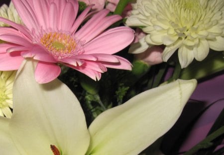 Bouquet of flowers 53 - brown, yellow, pink, photography, green, flowers, daisy