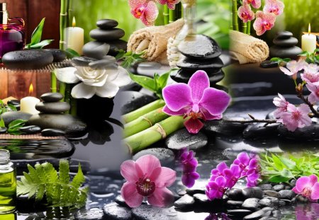 Spa Sensations - orchids, candle, collage, loofah, greens, rocks, beautiful, oils, rest, flowers, bamboo, ferns, relax