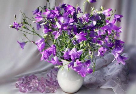 Still Life - flowers, purple flowers, beautiful, beauty, lovely