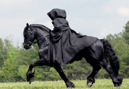 Black in black - black, mystery, cool, horse, robe