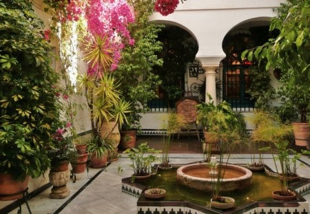 Patio - flowers, cordoba, patio, spain