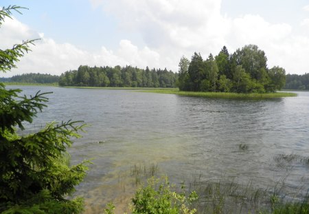 Island On The Lake - lithuania, plateliai, nature, green, island, lake