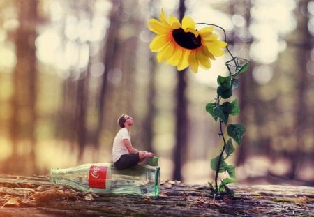 Day Dreamer - guy, flower, sunflower, bottle