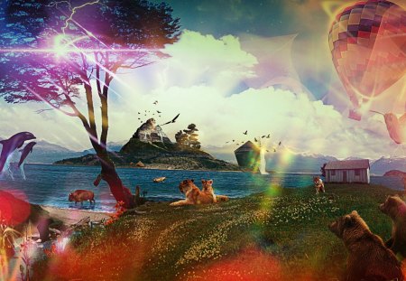 Treasure Island - ballon, birds, beach, boat, island, dolphins, picture, lodge, art, animals