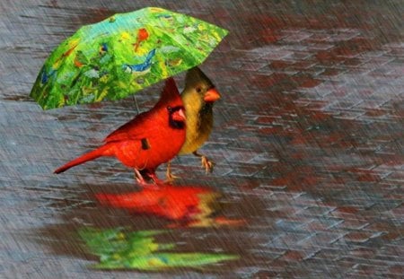 Chirping in the Rain ♬♩♪