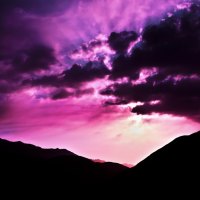 Purple Sunset