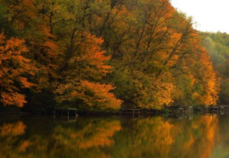 Golden Autumn. - a, very, picture, beautiful