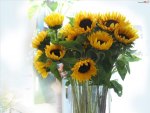 sunflowers bouquet