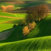 Rolling Fields of Green in Autumn