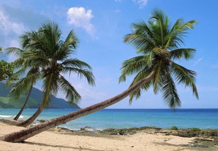 Island Paradise - clouds, trees, palms, water, blue, beach, ocean, daylight, sand, mountain, nature, day, sky