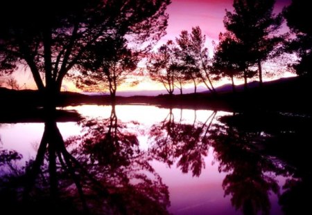 Purple sunrise. - sunlight, trees, purple, beautiful reflection, plants, sunrise, lake, mountains