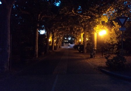 France. - street, trees, night, france