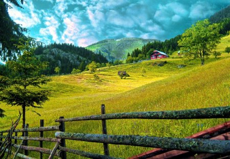 Highlands village - fence, trees, highland, field, mountains, plants, village, house, grass