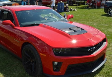 CamaroZL1 - ss, zl1, chevrolet, camaro