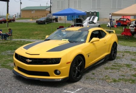 camaro transformer edition - zl1, chevrolet, ss, camaro