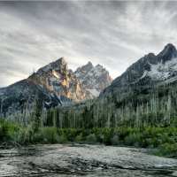 Mountain ~ Forest River