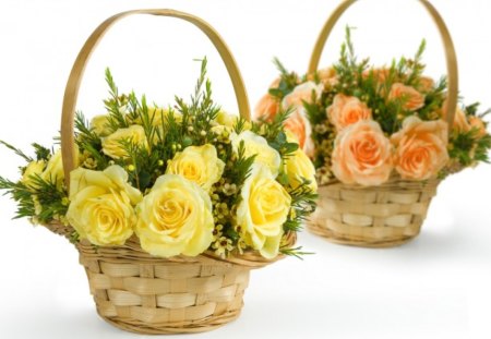 Baskets of roses - roses, rose, baskets, peach, yellow