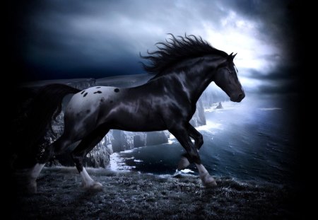 Black Horse - black, at a run, horse, animals