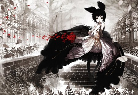 Anime - flowers, black, anime, wite, red