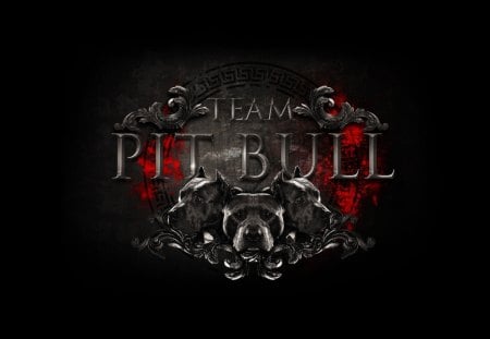 team pitbull - sports, abstract, pitbull, mma, ad, dark