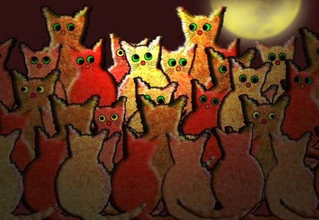 â™¥ Cats Meeting at Night â™¥ - moon, cats meeting, night, darkness, black, yellow, cats, red, colors