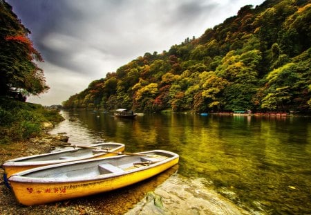 Two boats - two coast, trees, a river boat, gray sky, forest