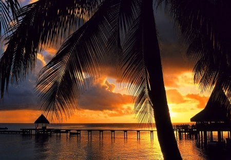 Sunset over French Polynesia - sundown, cabin, amazing, beach, light, reflection, shore, bungalow, exotic, palm trees, paradise, golden, french polynesia, sky, clouds, palms, sunrie, beautiful, orange, pier, tropics, glow, nature, sunset, tropical, rays, peaceful, bridge, shine