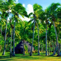 Traditional hut