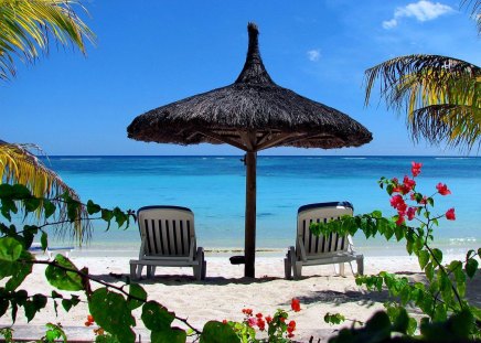 Summer time - palm branches, summer, horizons, blue, bushes, chairs, flowers, umbrella, hawaiian, caribbean, sky, clouds, summer time, shadow, tropics, nature, tropical, time, sands