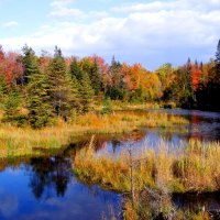 Wakley Mtn. Pond HDR