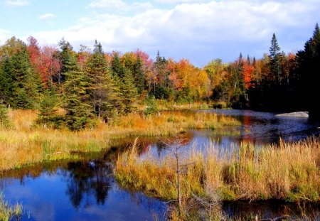 Wakley Mtn. Pond HDR - clouds, fall, trees, water, nature, pond, beautiful