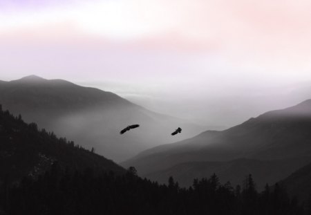 Misty Morning Flight - clouds, trees, birds, fog, scenery, northwest, flying, morning, forest, pink, dawn, mist, flight, mountains, eagles, sky