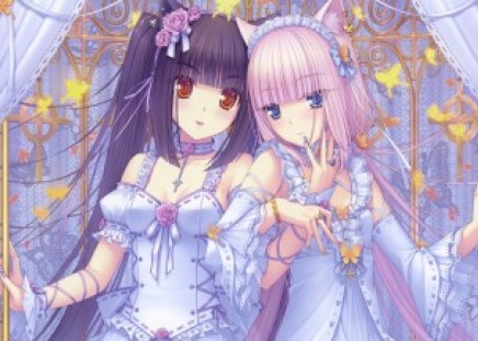 Chocola & Vanilla - girls, short hair, anime, vanilla, chocola, long hair