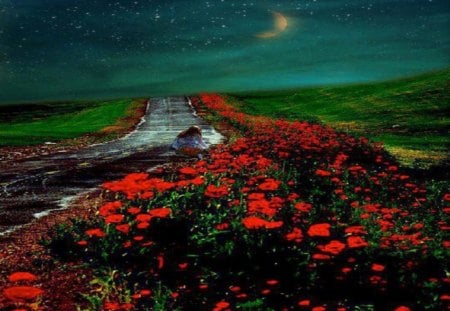 Highway Garden - moon, red, night, flowers, highway, road, garden