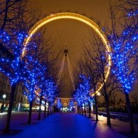 The London Eye at Night