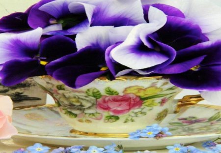 Teacup filled with Purple Pansies - china, delicate, tea, lovely, saucer, teacup, cup, pansy, purple, flower