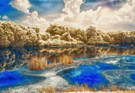 Trees Reflection - forest, water, ground, daylight, weeds, grass, blue, lake, white, sky, bright, reflection, clouds, trees, nature, day